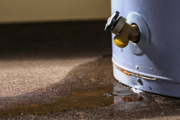 Best Water damage mitigation services  in Cleveland, NC