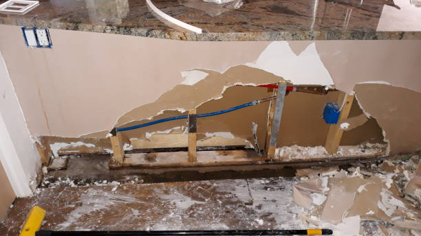 Best Mold removal after water damage  in Cleveland, NC