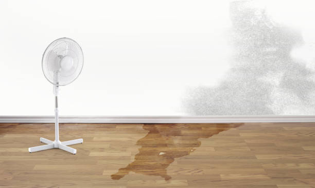 Best Water damage contractors near me  in Cleveland, NC