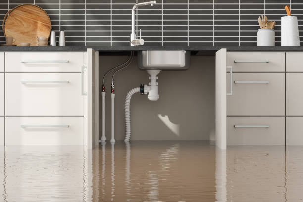 Best 24/7 water damage repair  in Cleveland, NC